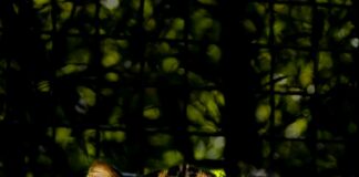 Kleider Damen Elegant: Entdecken Sie Stilvolle Mode Für Jeden Anlass