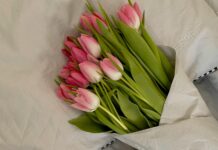 Esprit Kleider: Entdecken Sie Stilvolle Mode Für Jeden Anlass