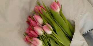 Esprit Kleider: Entdecken Sie Stilvolle Mode Für Jeden Anlass