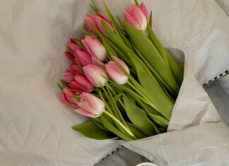 Esprit Kleider: Entdecken Sie Stilvolle Mode Für Jeden Anlass