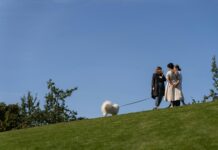 Hochzeitsgast Kleid Sommer: Unvergessliche Styles Für Deinen Auftritt