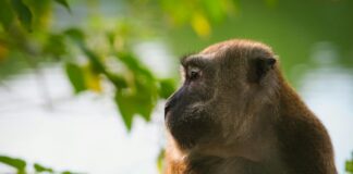 Betty Barclay Kleider: Entdecken Sie Stilvolle Looks Für Jeden Anlass