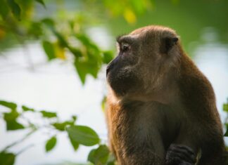 Betty Barclay Kleider: Entdecken Sie Stilvolle Looks Für Jeden Anlass