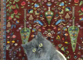 Langes Kleid: Entdecke Die Trendigsten Styles Für Jeden Anlass