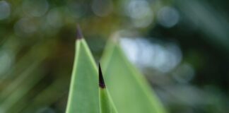 Vera Mont Kleider: Entdecken Sie Die Eleganz Für Jeden Anlass