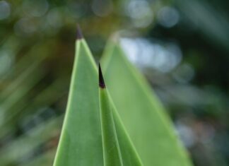 Vera Mont Kleider: Entdecken Sie Die Eleganz Für Jeden Anlass
