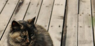 H&M Kleider: Entdecke Die Neuesten Trends Für Deinen Stil