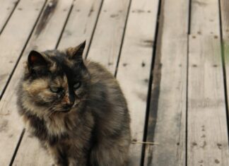 H&M Kleider: Entdecke Die Neuesten Trends Für Deinen Stil