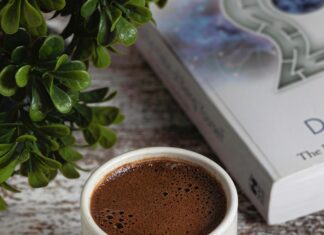 Emily Van Den Bergh Kleid: Entdecken Sie Den Perfekten Look!