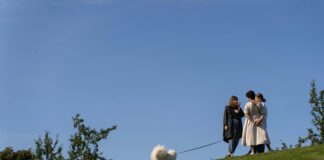 Sommer Kleid: Entdecke Die Must-Have Trends Für Den perfekten Look