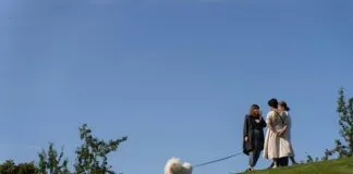 Damen Kleid Weiß: Entdecken Sie Stilvolle Looks Für Jeden Anlass