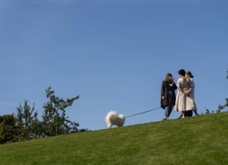 Kleider Damen Sommer: Entdecken Sie Die Must-Haves Für Ihren Stil!