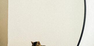 Betty Barclay Kleid: Entdecken Sie Stil Und Eleganz Für Jeden Anlass