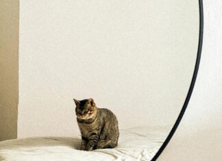 Betty Barclay Kleid: Entdecken Sie Stil Und Eleganz Für Jeden Anlass