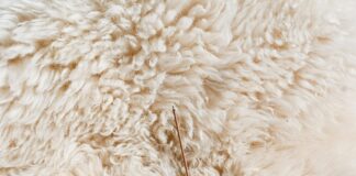 Hochzeitsgast Kleider: Finde Den Perfekten Stil Für Deinen Auftritt