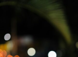 Guido Maria Kretschmer Kleid: Entdecken Sie Die Must-Have Styles