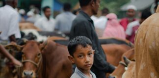 Bonprix Sale Kleider: Entdecken Sie Die Neueste Mode Zum Sparpreis