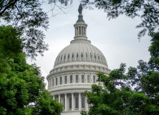 Schlankmachende Festliche Kleider C&A: Entdecken Sie Eleganz!