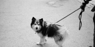 Bonprix Kleid: Entdecke Die Must-Have Styles Für Jeden Anlass