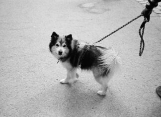 Bonprix Kleid: Entdecke Die Must-Have Styles Für Jeden Anlass