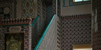 Kleid Federn: Entdecke Die Magie Federbesetzter Mode