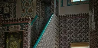 Kleid Federn: Entdecke Die Magie Federbesetzter Mode