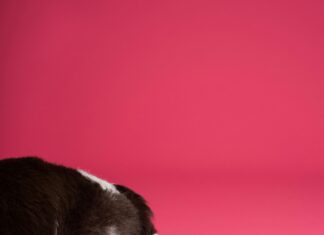 Cut Out Kleid: Entdecke Die Must-Have Trends Für Deinen Stil