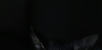 Kleid Bauch Kaschieren: Stilvolle Tipps Für Eine Elegante Silhouette