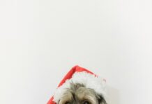 Kleid Für Die Taufe: Finde Das Perfekte Outfit Für Dein Kind!