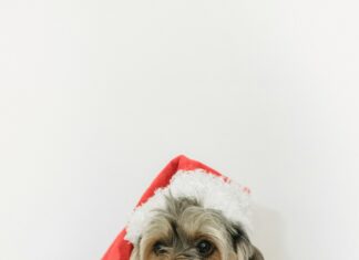 Kleid Für Die Taufe: Finde Das Perfekte Outfit Für Dein Kind!