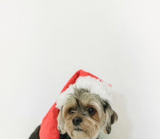 Kleid Für Die Taufe: Finde Das Perfekte Outfit Für Dein Kind!