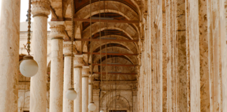 Marc Cain Kleider: Entdecken Sie Die Neuesten Fashion-Trends