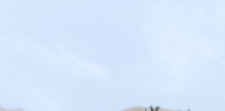 Kleid Damen Festlich: Entdecken Sie Stilvolle Trends Für Jeden Anlass