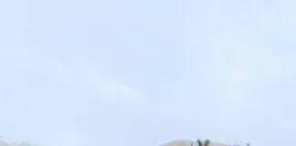 Damen Kleider Lang: Entdecken Sie Stilvolle Trends Für Jeden Anlass