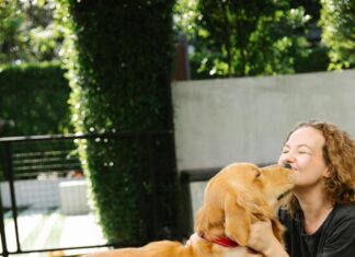 Jeans Kleider: Entdecke Stilvolle Kombinationen Für Jeden Anlass