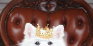 King Louie Kleider: Entdecken Sie Die Must-Have Styles Für Sie!