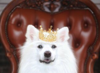 King Louie Kleider: Entdecken Sie Die Must-Have Styles Für Sie!