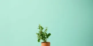 Nachhaltigkeit im Fashion-Bereich: Stilvoll und umweltbewusst Sustainability in the fashion industry: Stylish and eco-conscious